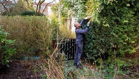 Een man die zijn heg aan het knippen is in zijn tuin